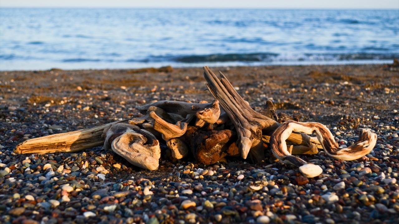 Özipek, bu sanat dalının yaygınlaşması için üç tarafının denizlerle çevrili olan Türkiye`nin çok elverişli olduğunu söyledi. 