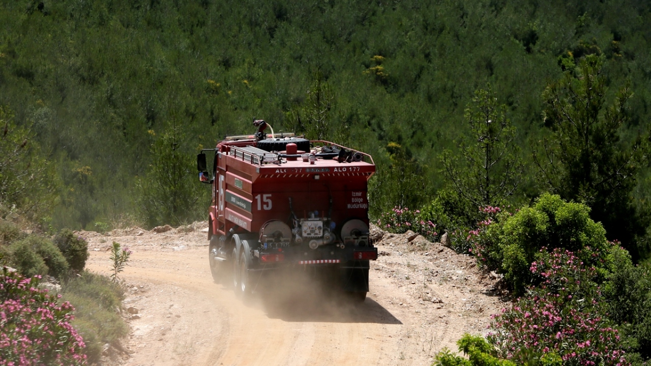 Orman Genel Müdürlüğünün özel ağaçlandırma programı kapsamında bölgeye dikilen farklı türlerde 300 bin yeni fidan, 14 yıl sonra dağa yeniden yeşil görünümünü kazandırdı.