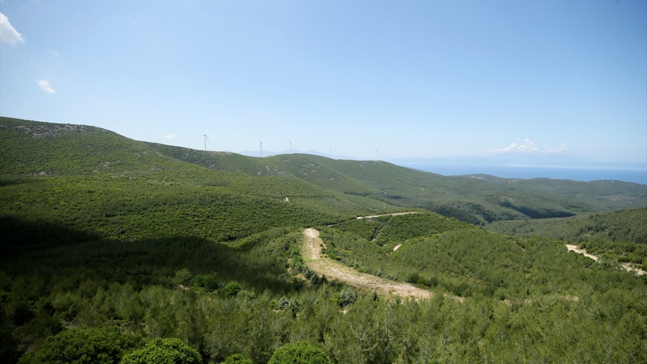 Derince, çalışma hakkında şu bilgileri verdi: