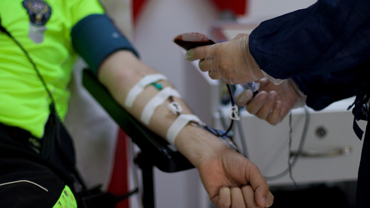 İlk bağışının ardından "İmmün Plazma Bağışçısı Beratı" verilen Gülcan, ikinci bağışını mayısta yaptı.