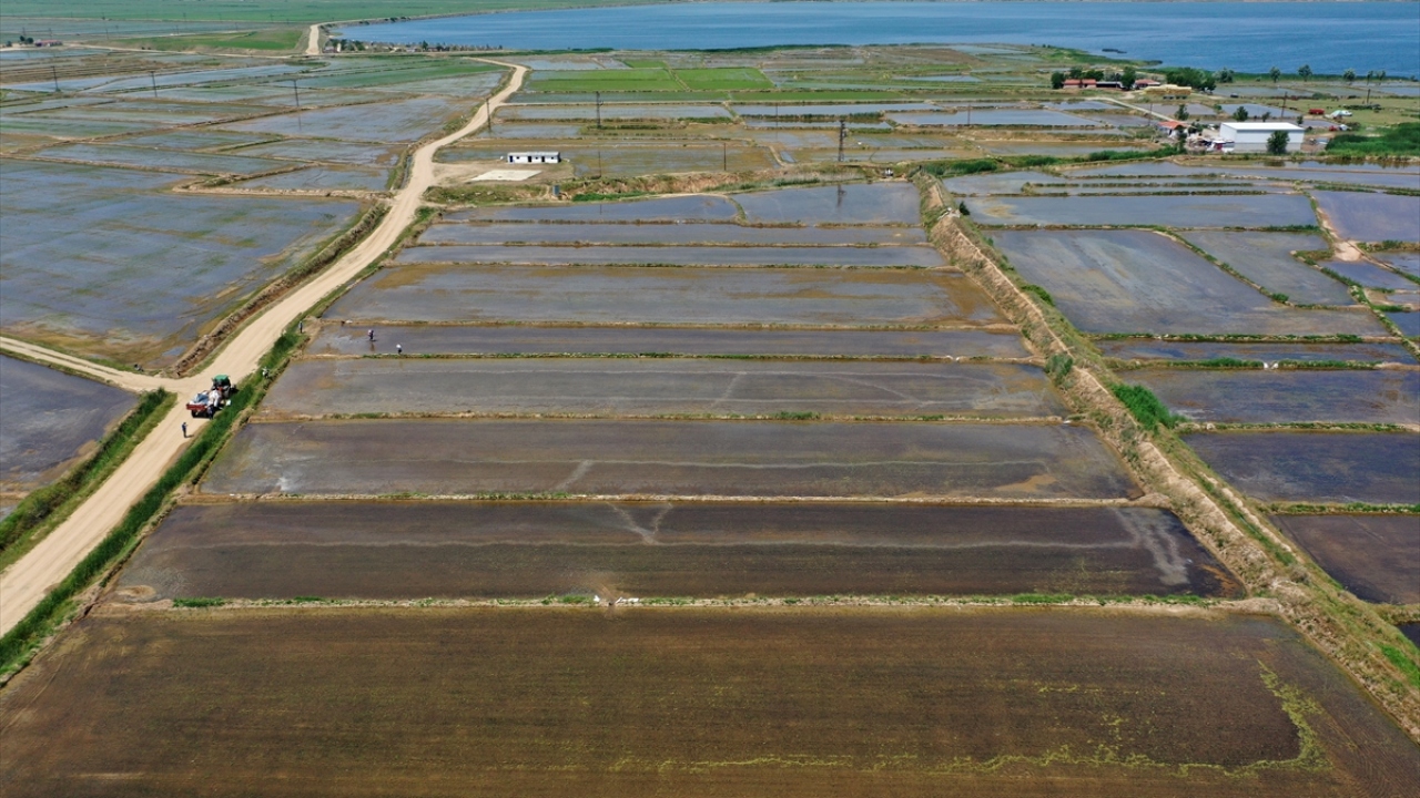 "Tohum gerekli patlamayı gerçekleştiremedi"