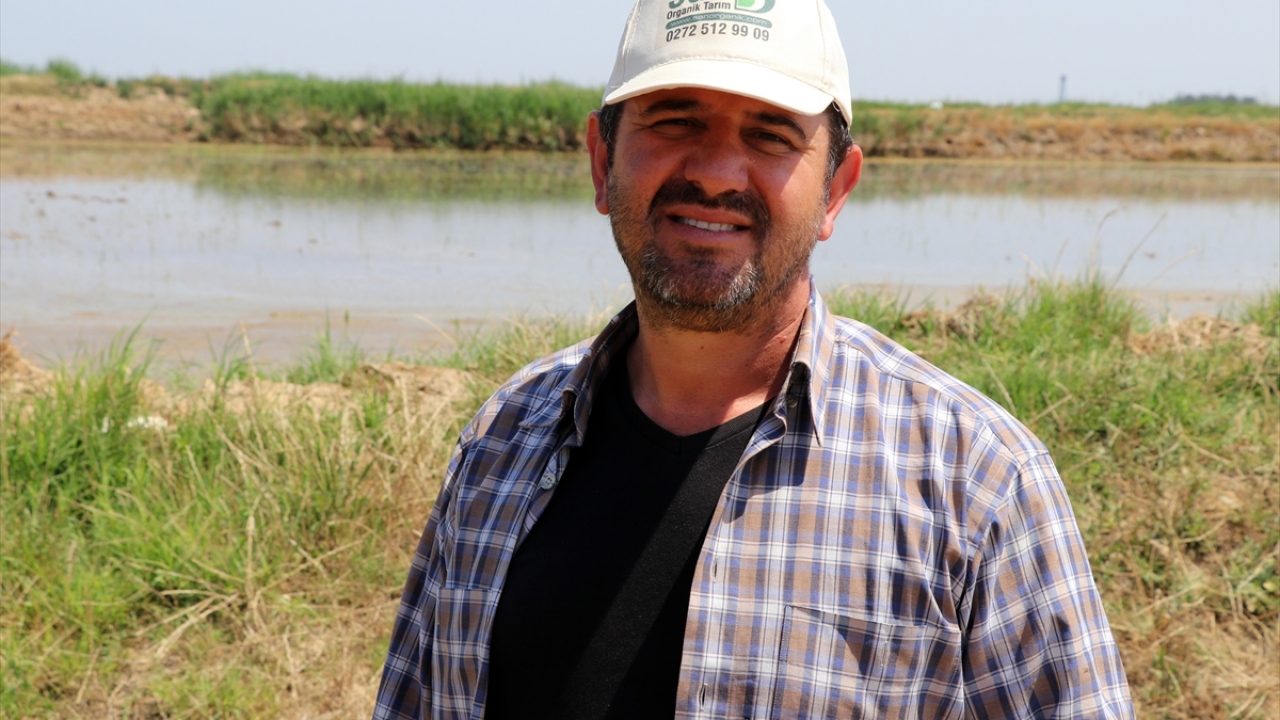 İpsala Ovası`nda çeltik üretimi yapan Turan Girgin de hava şartları nedeniyle 700 dönüm arazisinde yeniden ekim yapmak zorunda kaldığını ifade etti. 