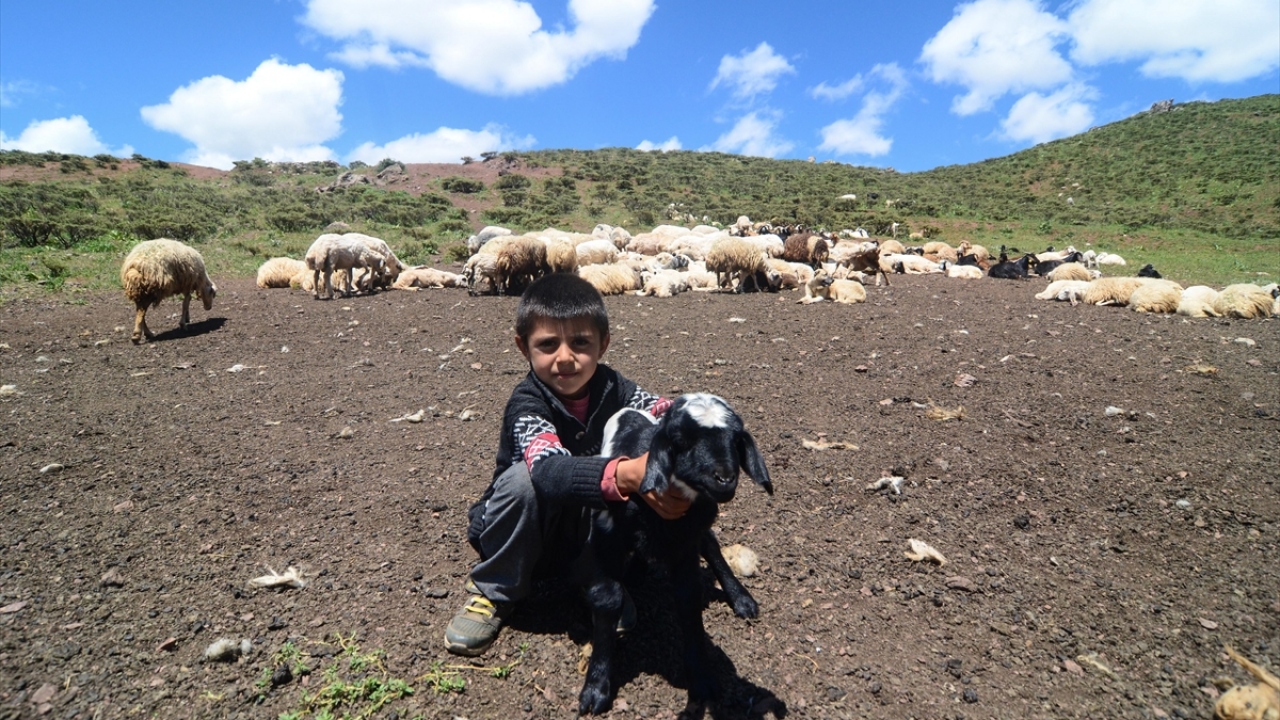 Et ve süt ürünleri üreterek ülke ekonomisine katkıda bulunan "Şavak" aşiretine mensup göçerlerin erkekleri gece gündüz koyunları güderken, kadınları da günde iki kez sağımını yaptıkları koyunların sütüyle peynir yapıyor.