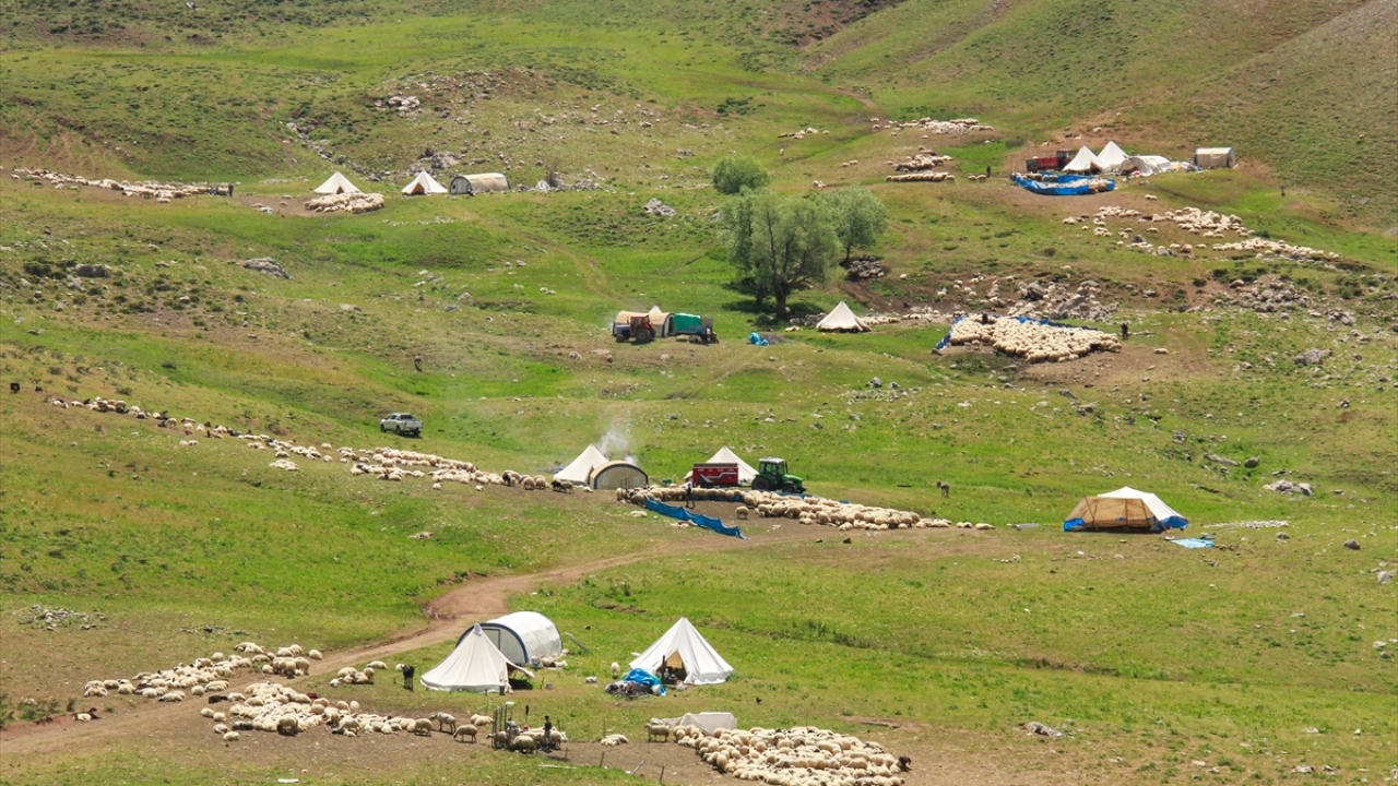 Güne erken başlayan kadınlar, günlük işlerinin yanı sıra kaldıkları çadırları temizleyerek, ekmek pişiriyor, bulaşık yıkıyor ya da ayran yayıyor.