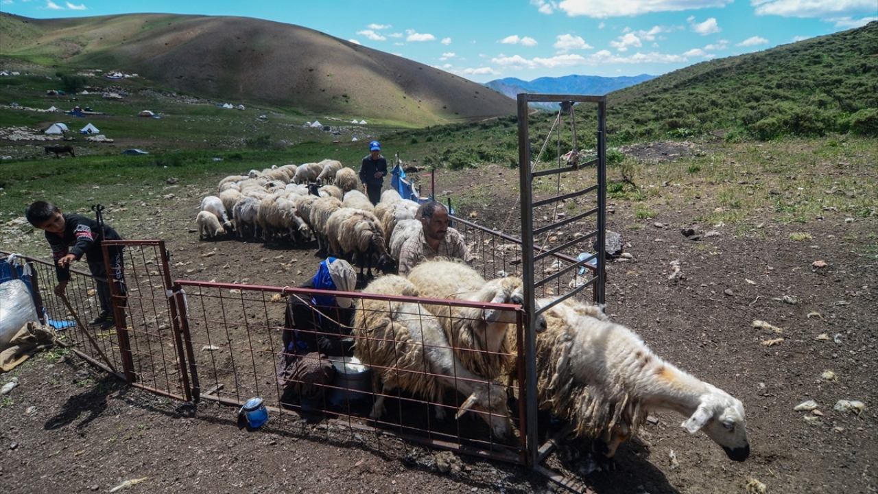 Göçerlerden Güllü Koçoğlu, yaptığı açıklamada, çocukluğundan beri hayvancılıkla uğraştığını söyledi.