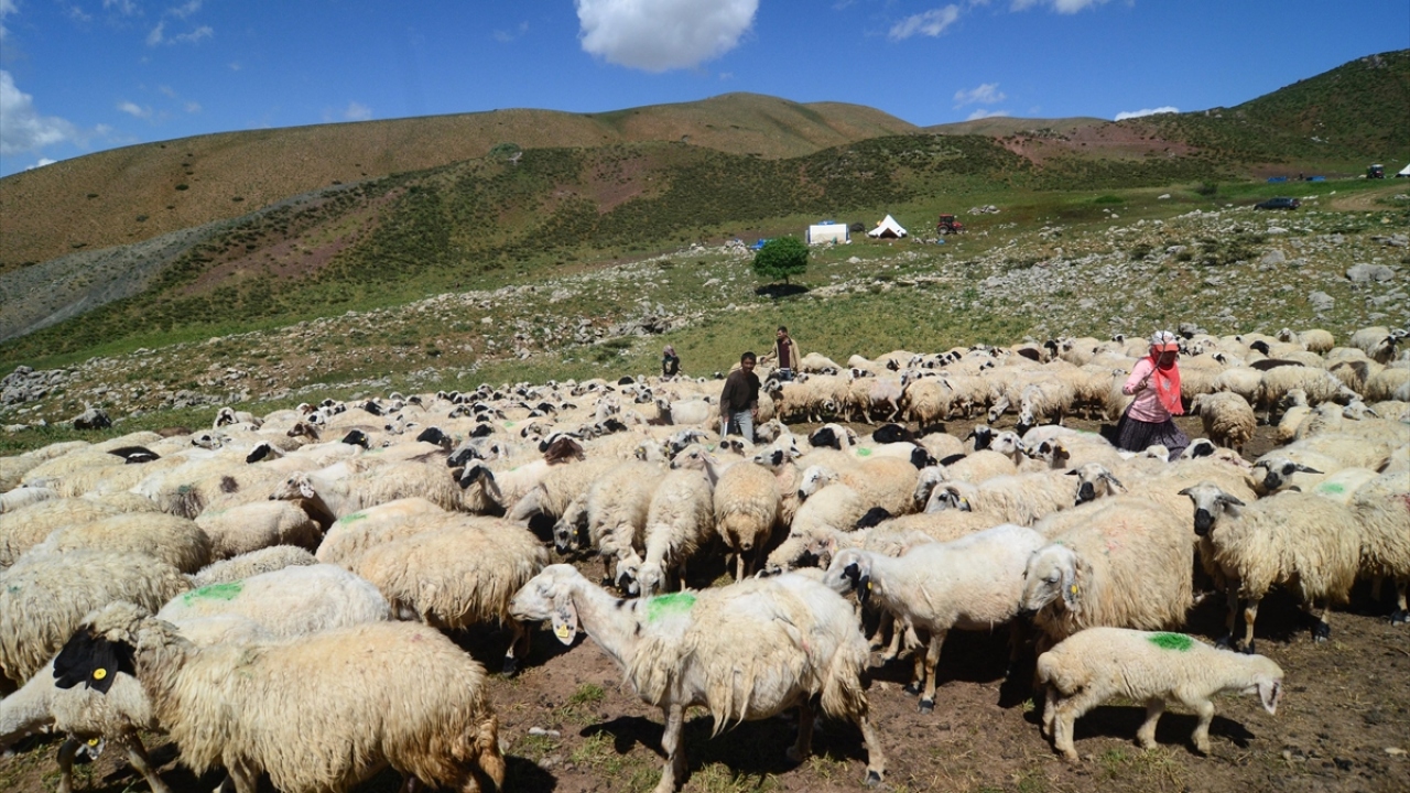 Yaşamlarını çadırlarda sürdürüyorlar