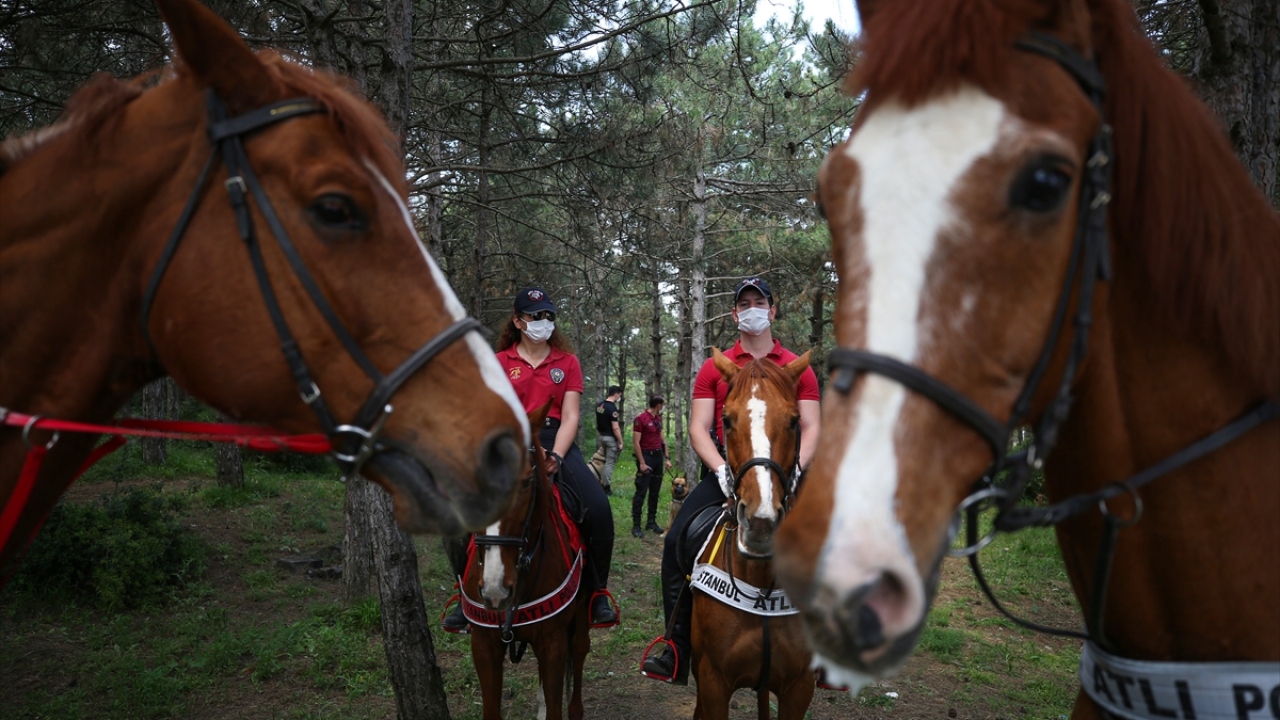 İçerisinde motorize ekip, atlı polis timleri, köpek timleri, özel harekat polisleri, termal drone, iz takip timi, toplum destekli polislerin oluştuğu 61 personel, devriye kapsamında Sultangazi Kent Ormanı`nda ilk kontrollerini gerçekleştirdi.