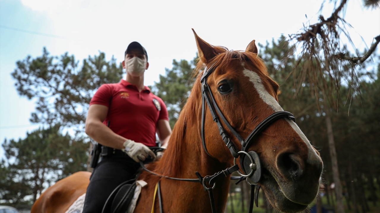 Polis helikopterinin de havadan destek verdiği devriyede atlı polisler ormanı kontrol ederken her birim ayrı bir noktada denetim yaptı.