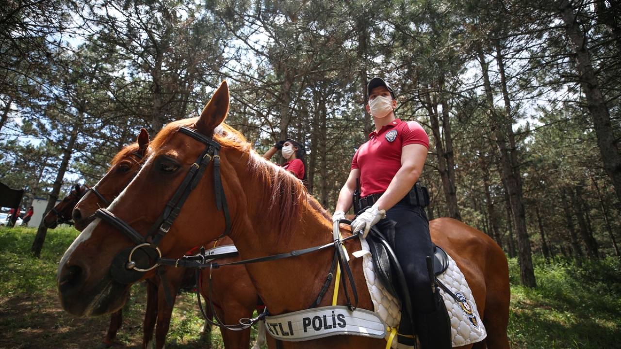 Haftanın belirli gün ve saatlerinde belirlenen ormanlık alanlarda görev alacak doğa devriyesi ekipleri, vatandaşlara da bilgilendirme afişleri dağıtacak.