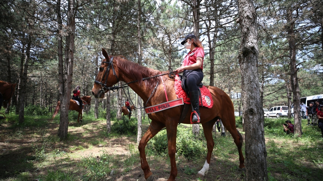 Havaların ısınmasıyla kentteki vatandaşların piknik ve spor alanları olarak kullandığı ormanlarda yangınların önlenmesi, kundaklama olaylarında şüphelilerin yakalanması, huzur ve güvenin sağlanması amacıyla Doğa Devriyesi Projesi hazırlandı.