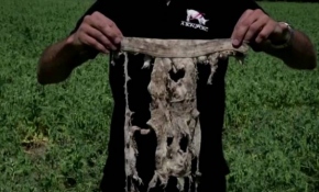 Fransız çiftçi toprak kalitesini çamaşır testiyle ölçtü