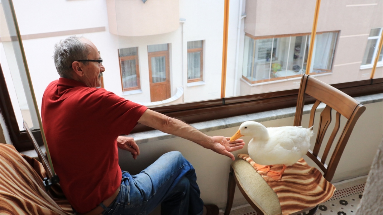 Aydın, sokağa çıktıklarında vatandaşların aralarındaki ilişkiyi meraklı gözlerle seyrettiğini ve bazılarının fotoğraf çektiğini belirtti.