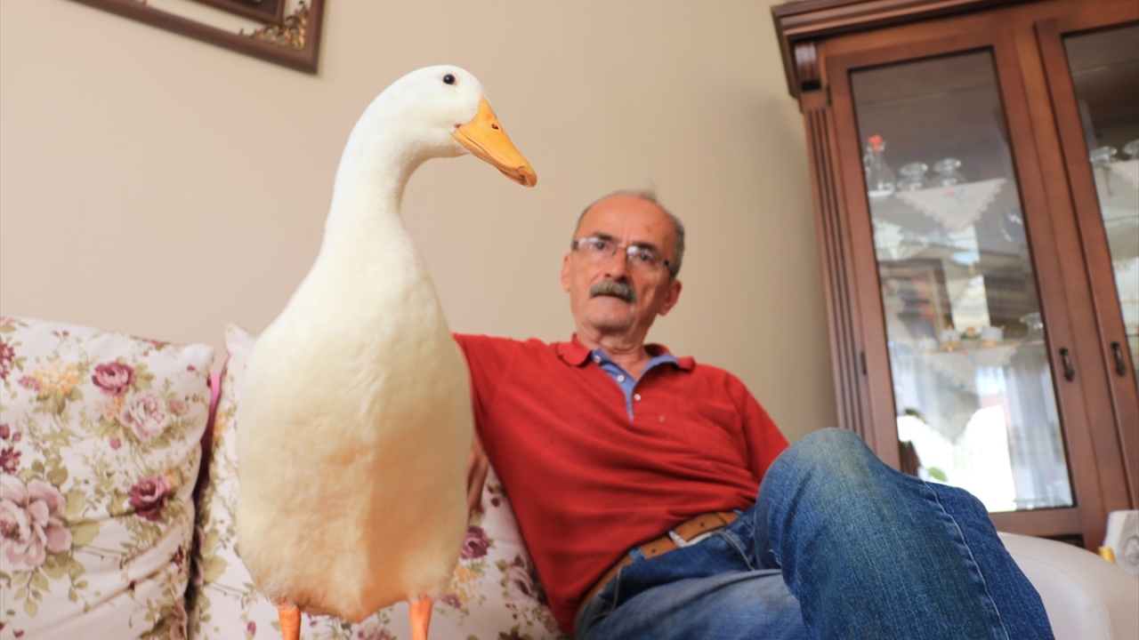 "Dünya bir tarafa Pamuk bir tarafa"