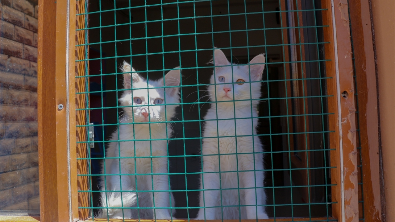 Normalleşme süreciyle bugün ziyaretçi kabul etmeye başladıklarını anlatan Kaya, şunları kaydetti: