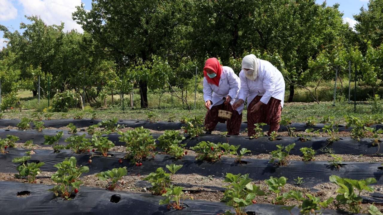 KAÇEM ile sosyalleştiler