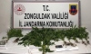 Zonguldak'ta uyuşturucu operasyonu
