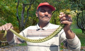 Mahallenin yılan avcısı