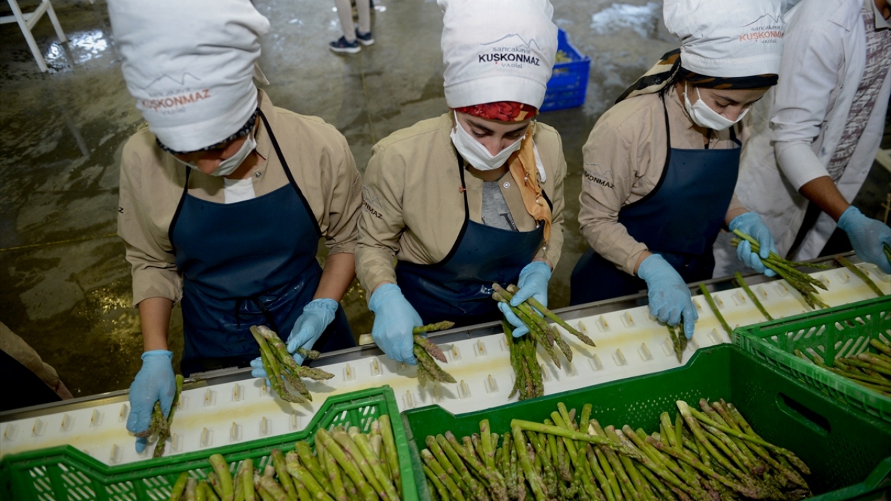 "Hamileler için çok faydalı" 