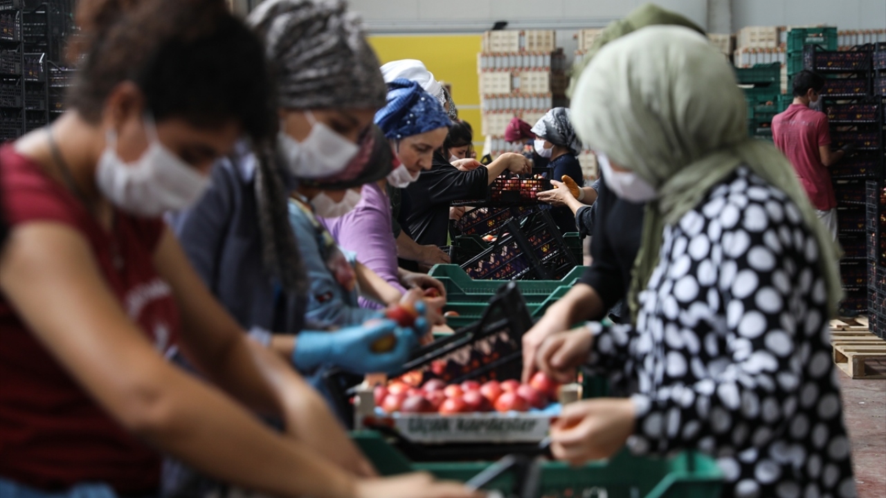 Ege Yaş Meyve Sebze İhracatçıları Birliği Başkanı Hayrettin Uçak, yeni tip koronavirüs (Covid-19) sürecinde dünya genelinde gıda ürünlerine talebin arttığını söyledi.