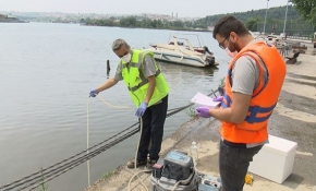 Bakanlık harekete geçti: Haliç'ten numune alındı
