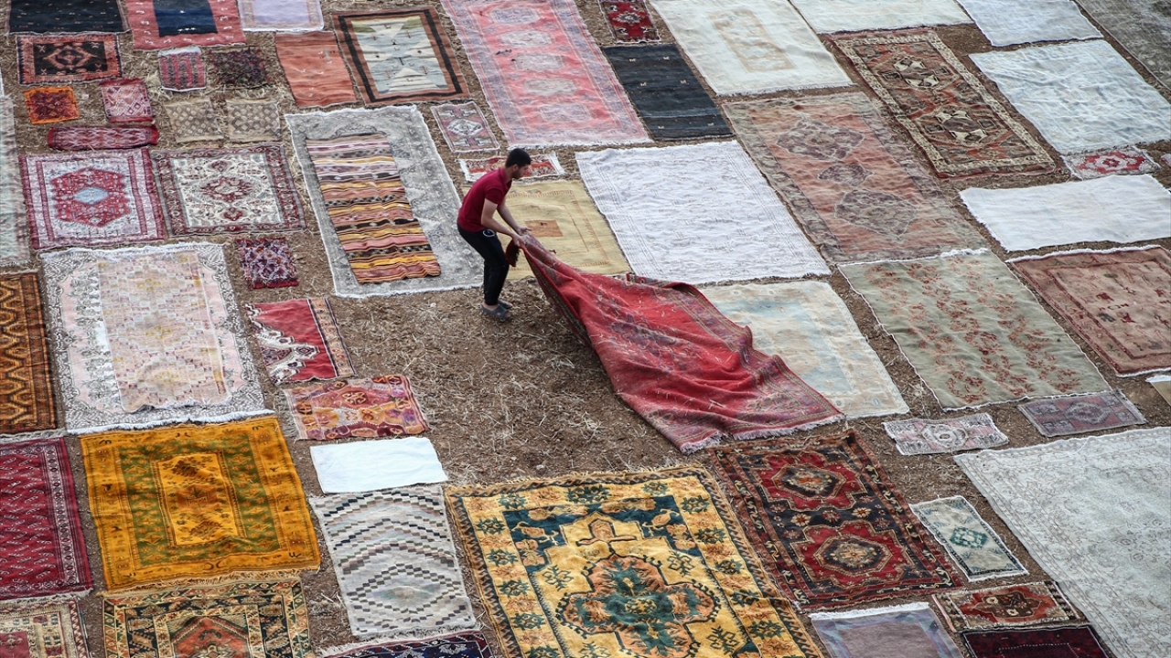 Börekci, fotoğraf meraklıları ve Antalya`ya gelen turistlerin de halı tarlalarına ilgi gösterdiğini sözlerine ekledi.