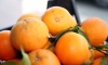 Türk narenciyesini en çok Ruslar tüketti