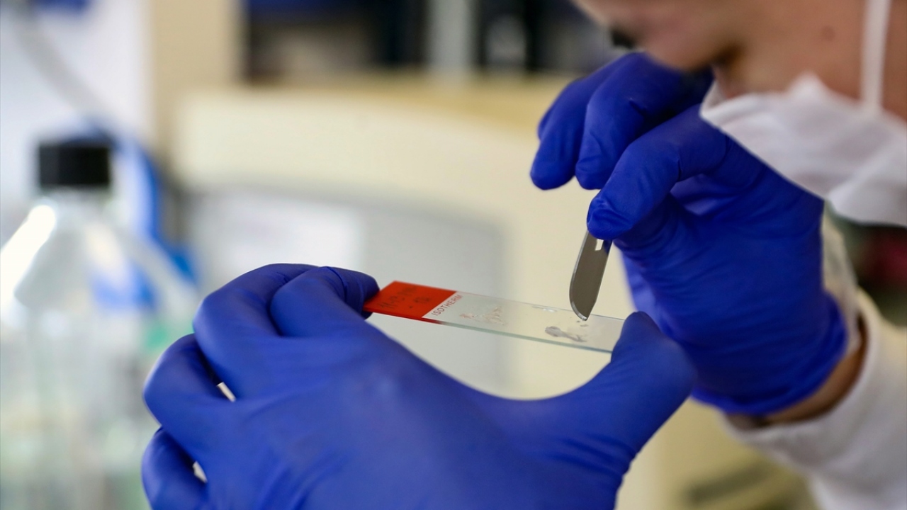 "Güzel müjdeleri verebiliriz"