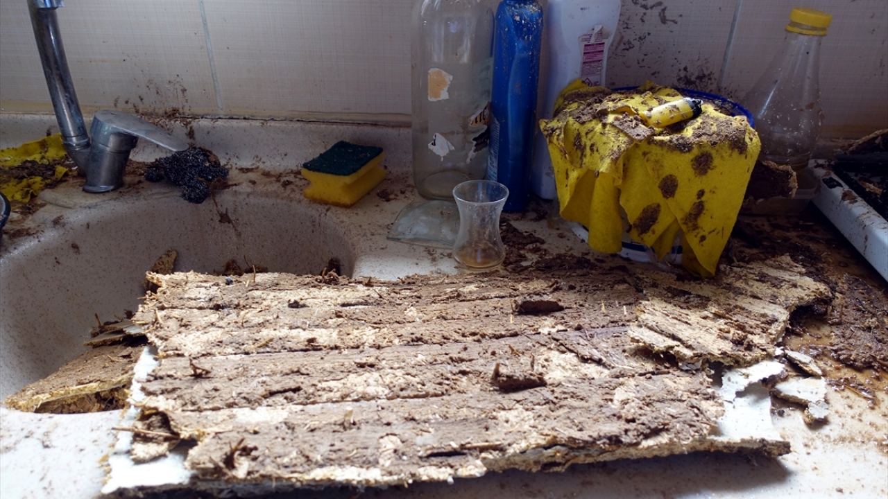 Kırklareli Tarım ve Orman Müdürlüğü ile Ziraat Odası Başkanlığı ekipleri, bölgede hasar tespit çalışmalarına başladı.