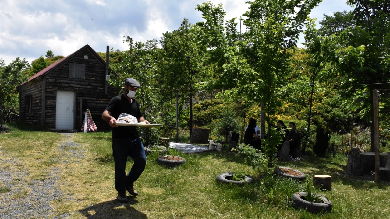 Sarı ve mor orman gülleri ile yüksek dağlardaki kar görüntüsü, yayla ziyaretçilerini cezbediyor. 