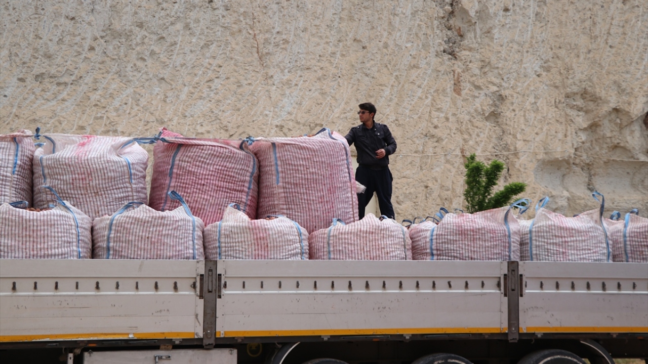 Bugüne kadar 10 yerli patates çeşidini tescil ettirdiklerini ve bunlarından 6`sının özel sektöre pazarlama ve satış hakkını devrettiklerini hatırlatan Pırlak, şunları kaydetti: