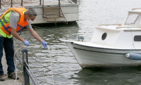 Haliç'teki kirliliğin nedeni en geç cumartesi belli olacak