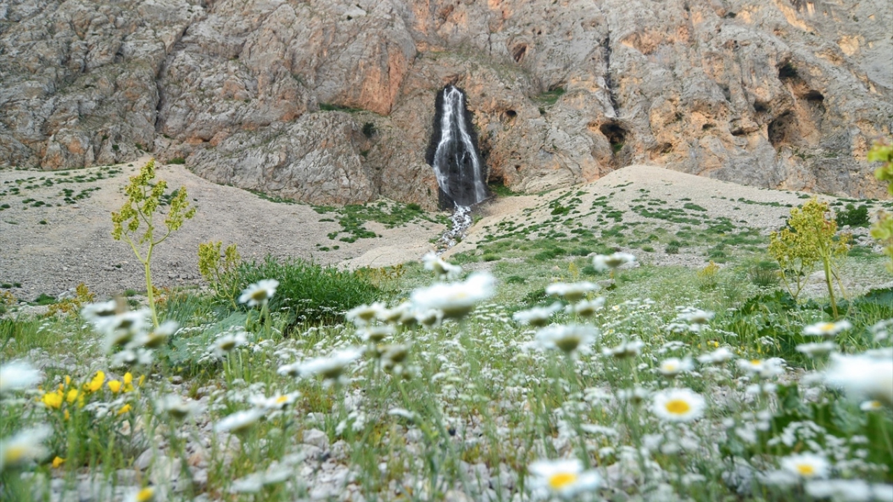 Doğaseverlerden Nihat Derman, yaptığı açıklamada, Ovacık`ın her mevsim doğasıyla ayrı güzellikler sunduğunu söyledi.