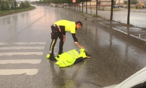 Otomobilin çarptığı yaralı köpeğe polis şefkati