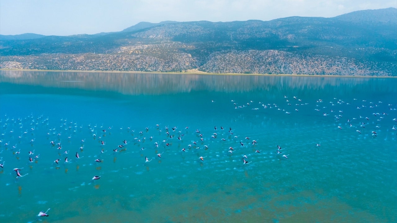 Afyonkarahisar Valiliği Tanıtım Bürosu, şehrin hafızasını oluşturmaya devam ediyor. Bu kapsamda Dazkırı ve Başmakçı ilçe sınırları arasında yer alan Acıgöl`de fotoğraf ve video arşiv çalışması yapıldı.