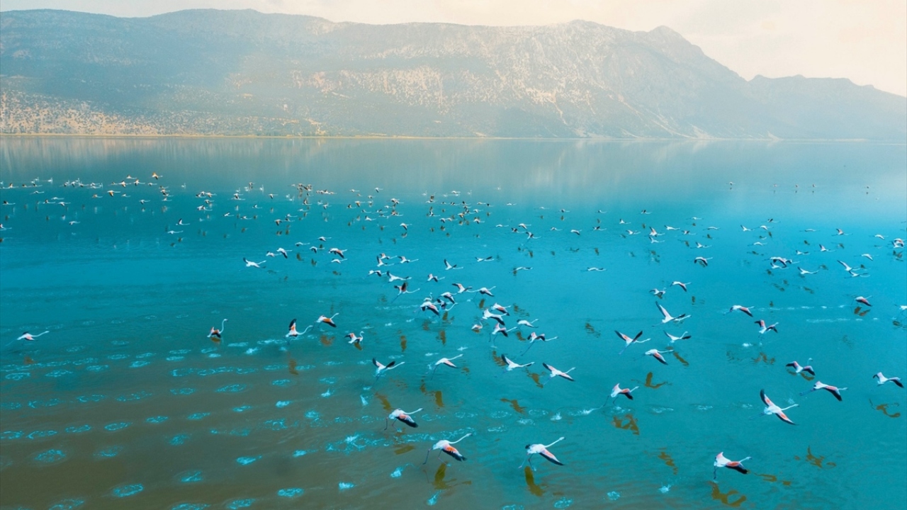 Yapılan çalışma neticesinde elde edilen fotoğraf ve görseller, Tanıtım Bürosunun yönettiği "Visit Afyon" sosyal medya hesaplarından paylaşılarak, şehrin tanıtımı gerçekleştirilecek.
