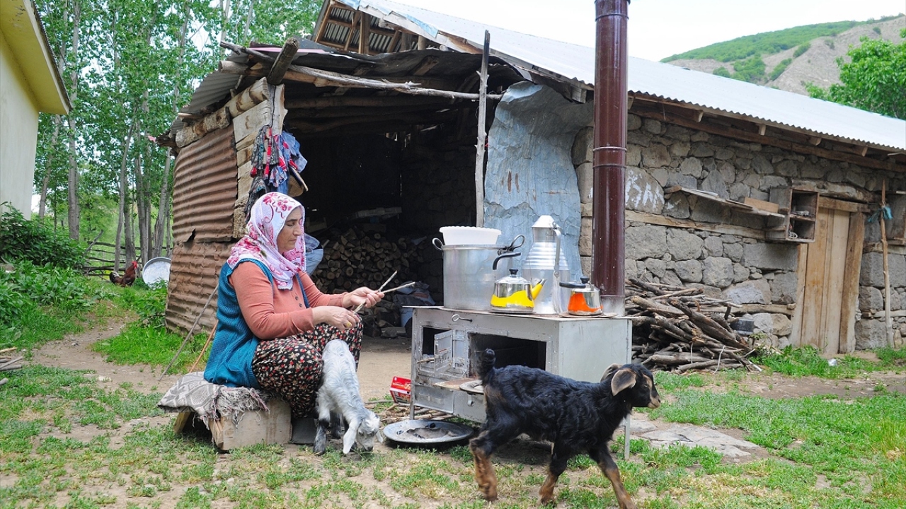 Yedisu ilçesine bağlı Dinarbey köyünde yaşayan Açık ailesinin yıkılan ahırında da ikiz yavruları olan keçi, enkaz altında kaldı.