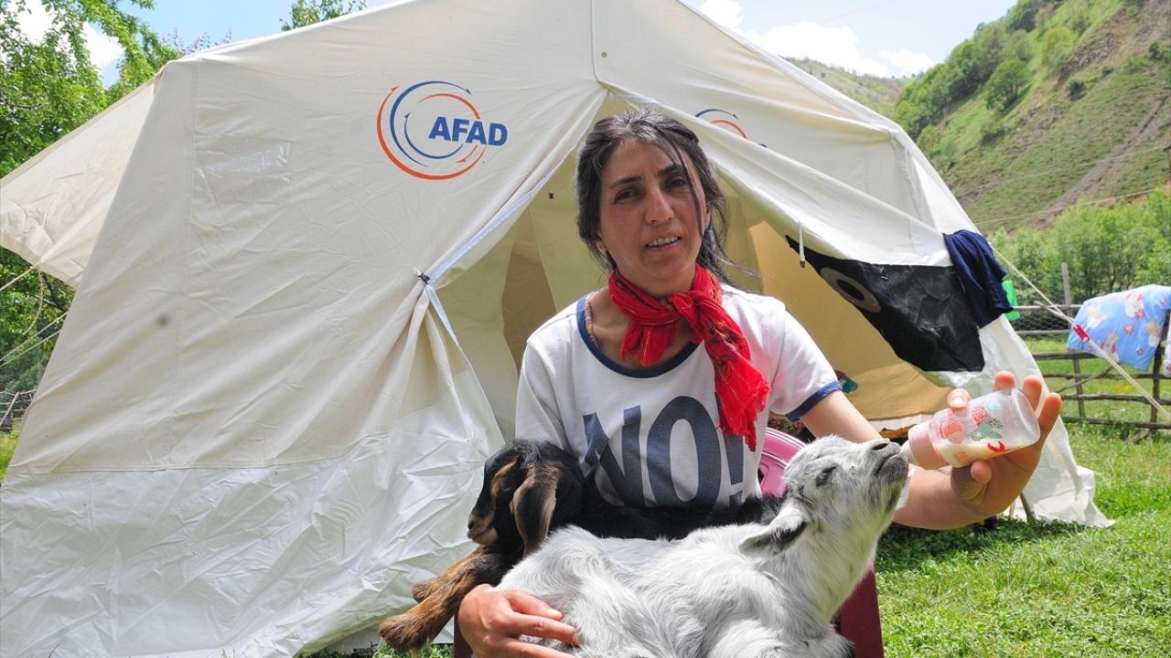 Telef olan keçinin sahibi Sinem Açık, yaptığı açıklamada, geriye biri dişi biri erkek ikiz yavrularının kaldığını söyledi.