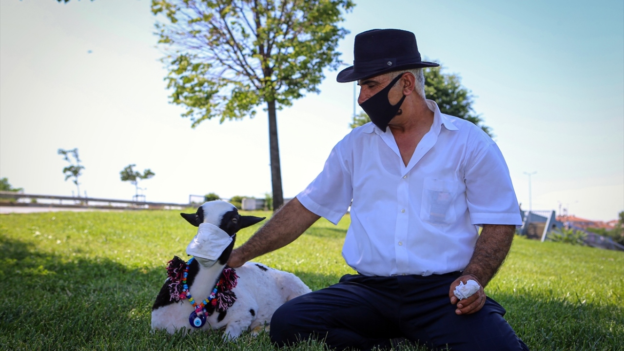 Koronavirüs salgını nedeniyle "Maskesiz dışarı çıkmayın." uyarılarını dikkate alan Sain, kendisi gibi Boncuk`a da maske taktı.