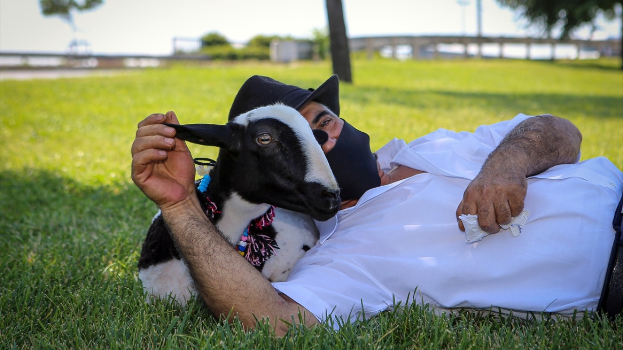 Boncuk ile birlikte maskelerini takıp markete alışverişe de giden Sain, sık sık vatandaşların "Hayvan bile maske takıyor, insanlar takmıyor." sözleriyle karşılaştığını ifade etti.