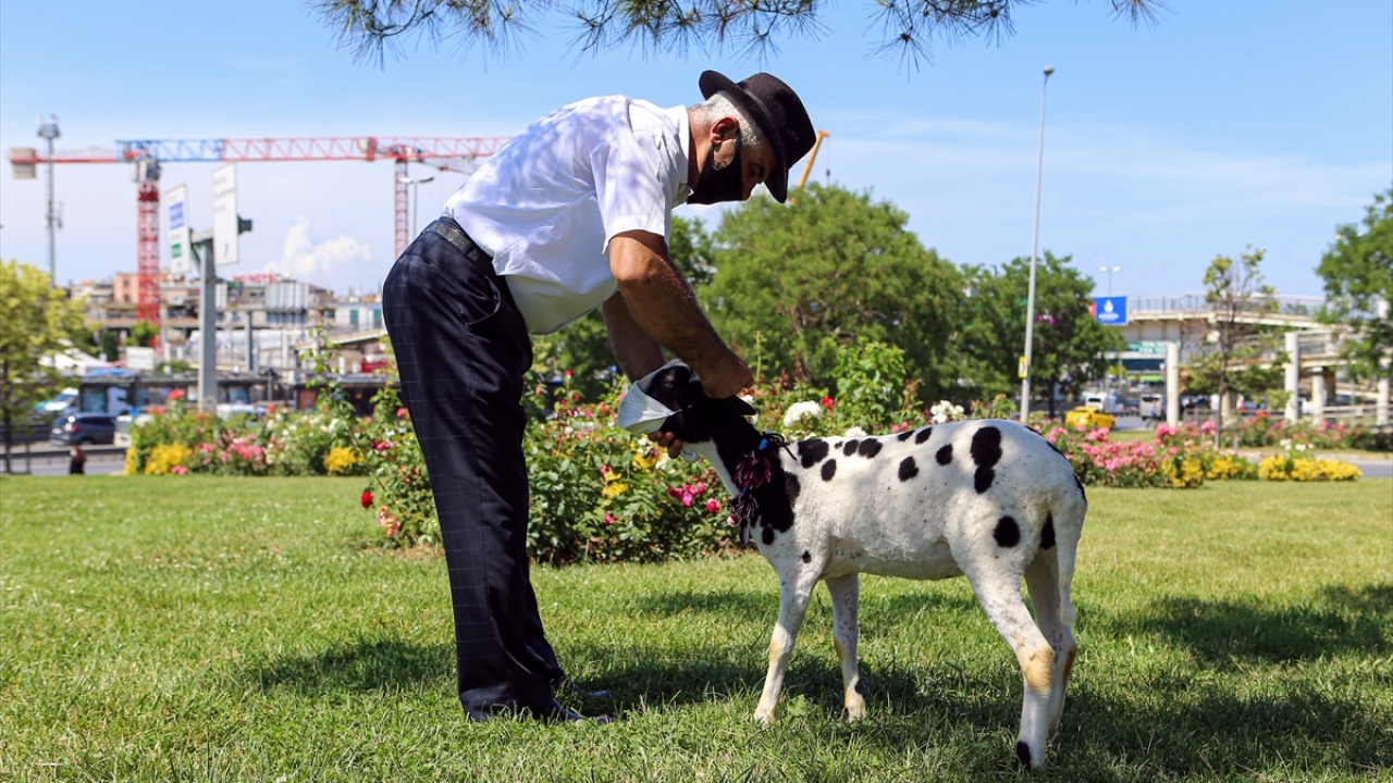 "3 günde bir şampuanla yıkıyorum"
