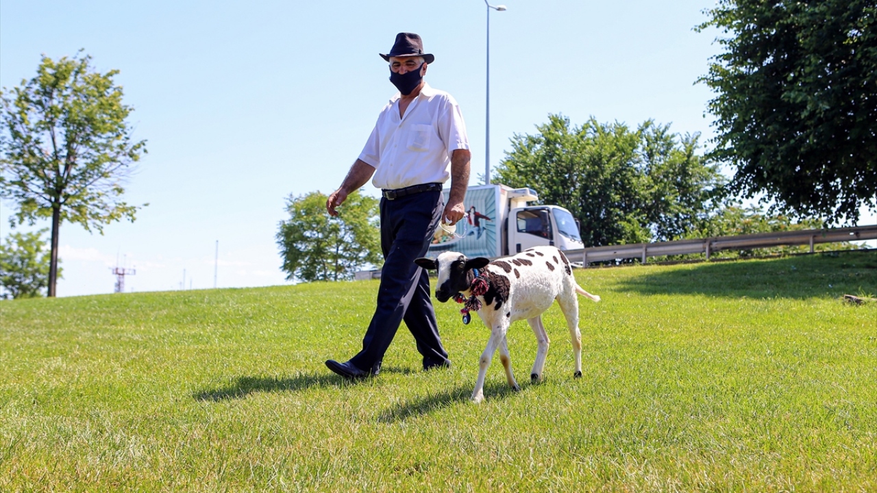 "Ne satacağım ne keseceğim, böyle bakacağım"