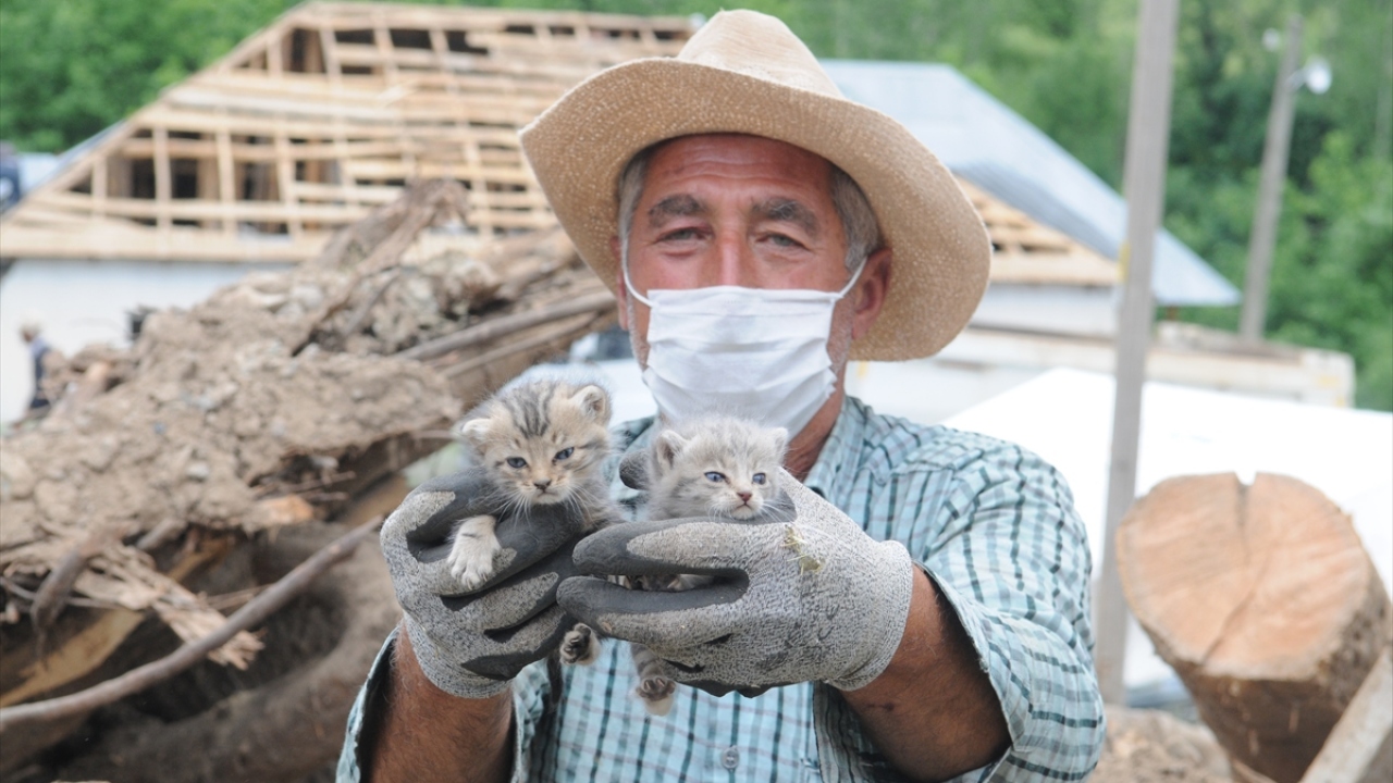 Depremden etkilenen Yedisu ilçesinin Elmalı köyünde hasar gören yapılarda enkaz kaldırma çalışmaları kapsamında bir samanlık enkazında 2`si sağ 3 kedi yavrusu bulundu.