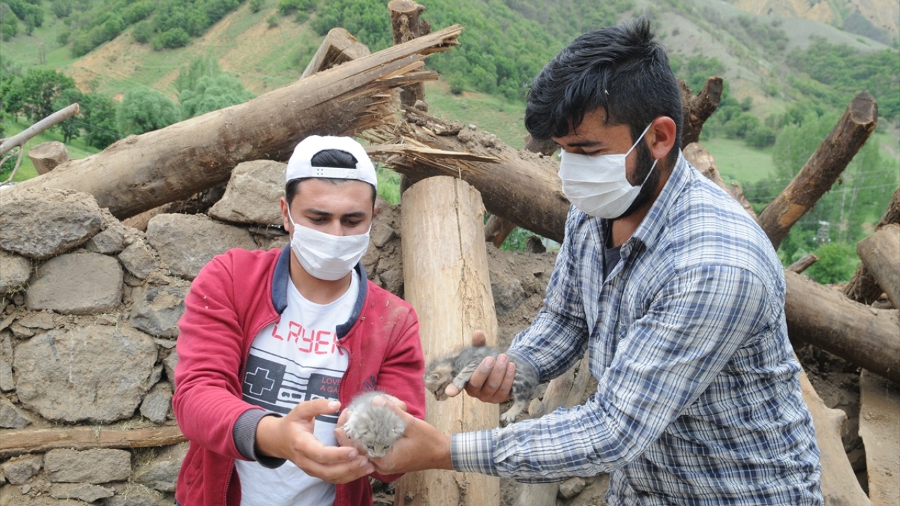 Kedilerin bakımı üstlendiklerini belirten Adıbeli, "Enkaz çalışması sırasında fark ettik. İki yavru, muhtemelen anneleri ölmüş. Besleyip büyüteceğim." dedi.