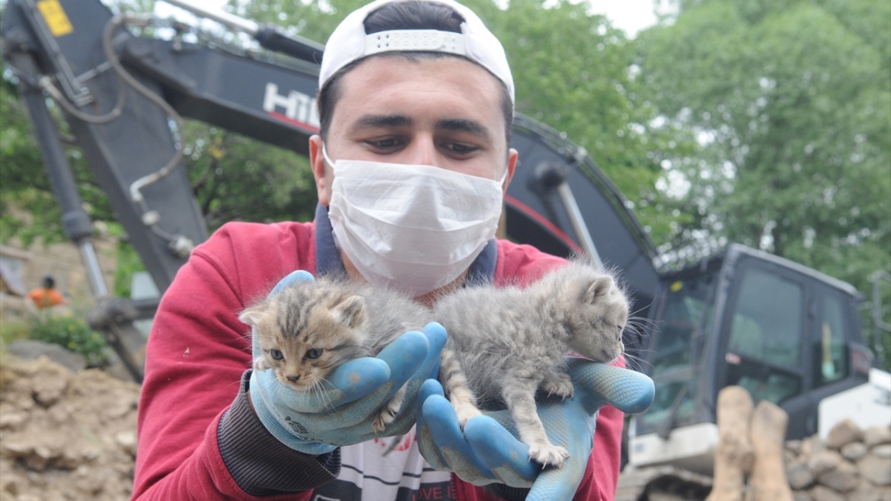 Samanlık sahibi Kamil Adıbeli de depremden 5 gün sonra 2 kedi yavrusunu sağ çıkarmanın sevincini yaşadıklarını belirtti.