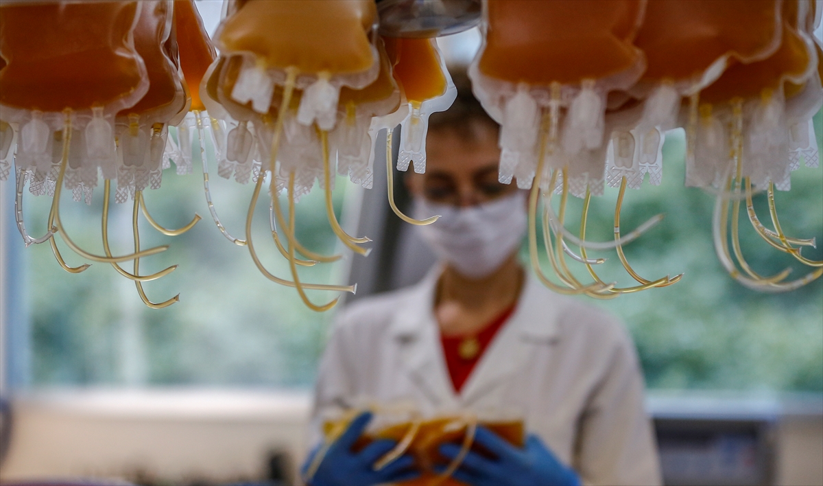 "Bağışlanan kan 3 hastaya hayat veriyor"