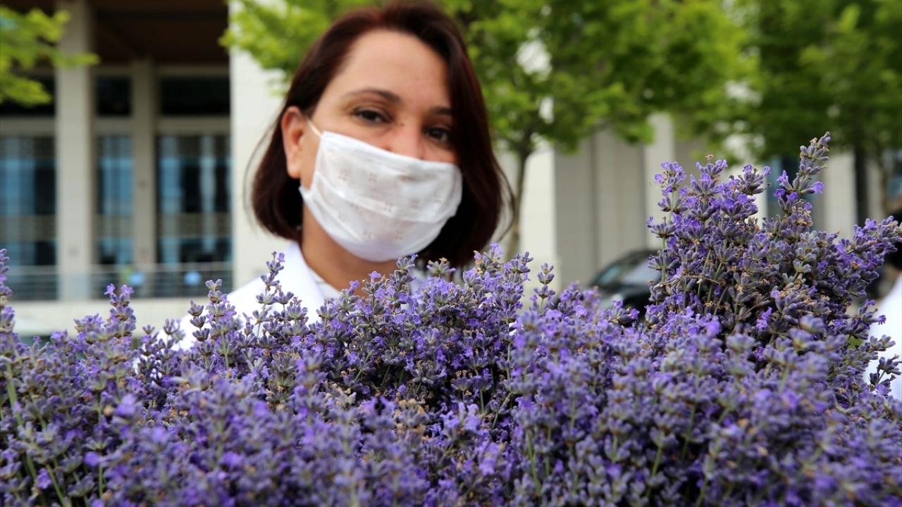 Edirne Sultan 1. Murat Devlet Hastanesi Başhekimi Mustafa Talha Sütçü, Edirne Sağlık Müdürlüğü Kamu Hastaneleri Başkanı İshak Yıldırım da etkinlikte yer aldı.