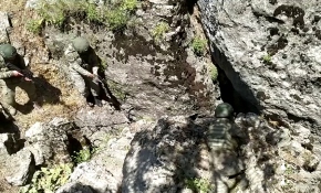 Pençe Kaplan 'ara-bul-yok et' parolasıyla sürüyor