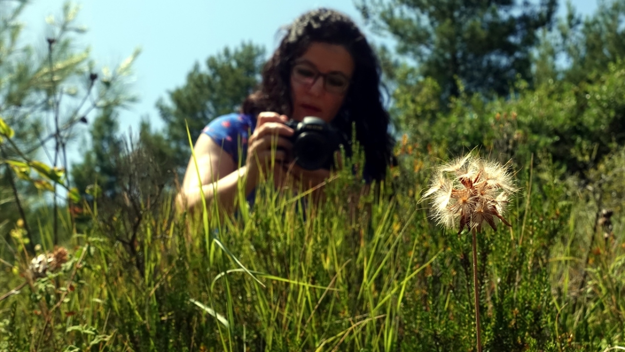 Hatay MKÜ Fen Edebiyat Fakültesi Biyoloji Bölümü Öğretim Üyesi Doç. Dr. Yelda Güzel de bitkiyi öğrencileri Samim Kayıkçı ve Serhat Yıldız ile bir rastlantı sonucu keşfederek dünya literatürüne kazandırmanın gururunu yaşadıklarını ifade etti.
