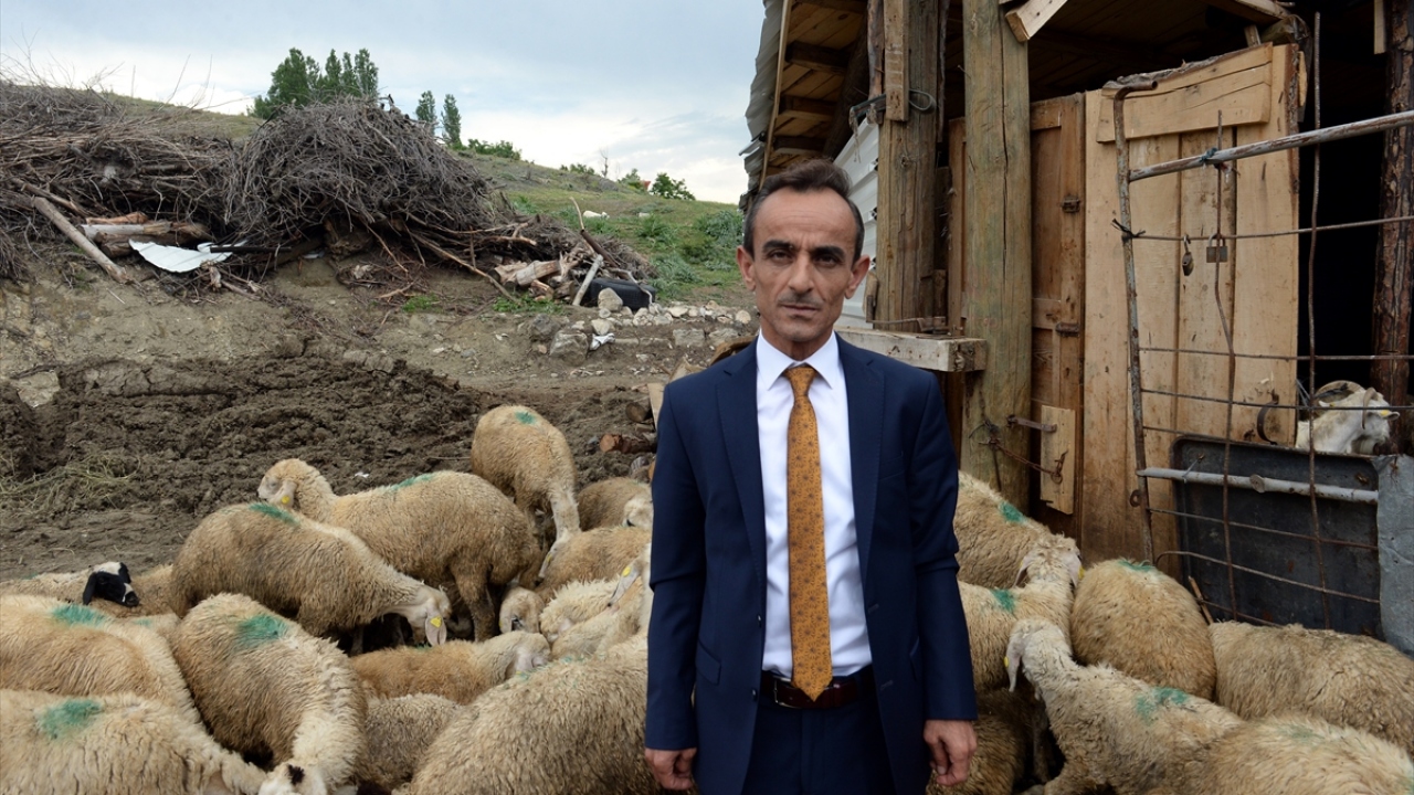 İbrahim Türk, yaptığı açıklamada, 2016 yılında Bakanlığın Genç Çifti Projesi kapsamında çiftçilere koyun verildiğini hatırlattı.