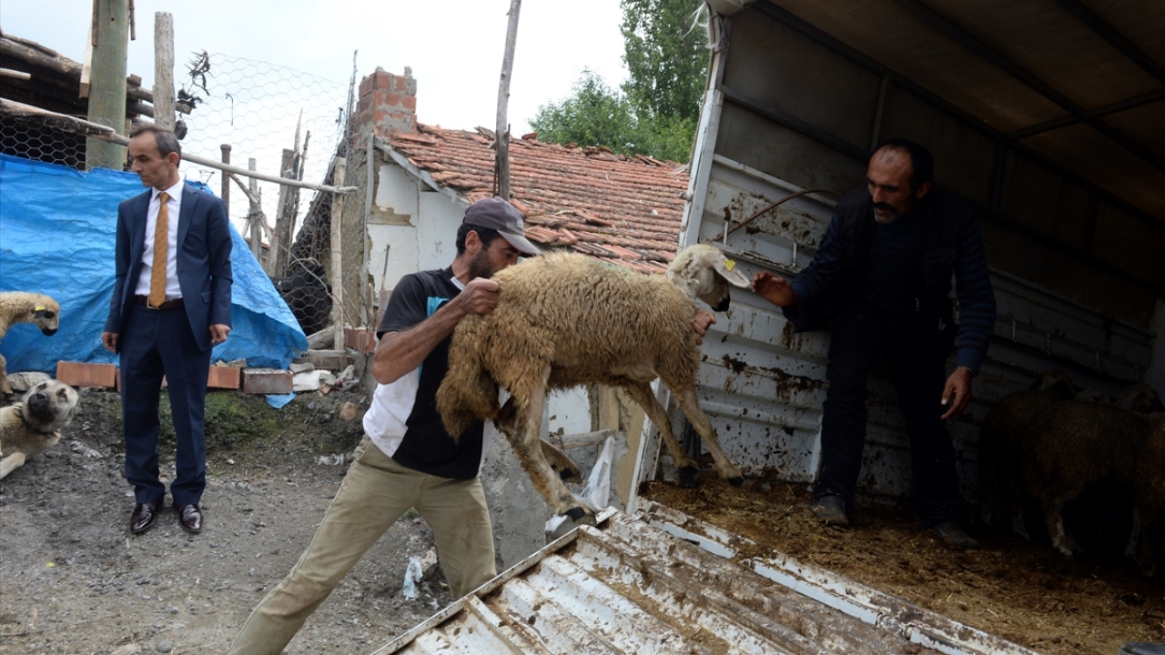 Çift, koyunları alırken İlçe Tarım ve Orman Müdürü İbrahim Türk`e "ilerleyen yıllarda aldıkları sayıda 40 koyunu hibe edeceklerine" dair söz verdi.